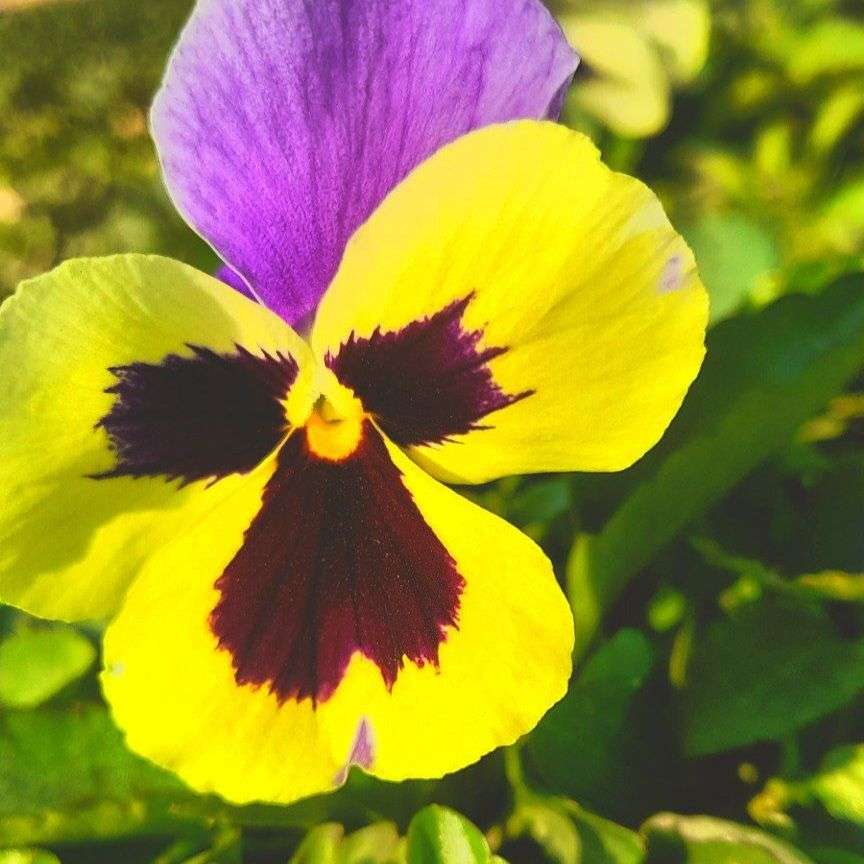 آهنگ جدید 914 خط منه بگیر بیا قرارم بذار عمه ننه
